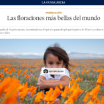 La prensa incluye a 3 floraciones de España entre las más bellas del mundo
