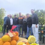 Periodistas alemanes recorren el Valle de Ricote y las floraciones de Mula y Cieza en un press trip