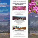 Trevinca celebra la floración de las ericas con rutas guiadas en mayo de 2026