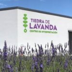 Tiedra Lavanda se prepara para disfrutar de la floración 2026 con una observación del eclipse solar como novedad