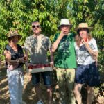 Medio centenar de visitantes vive en Aitona la experiencia de recoger melocotones, nectarinas y paraguayos directamente del árbol